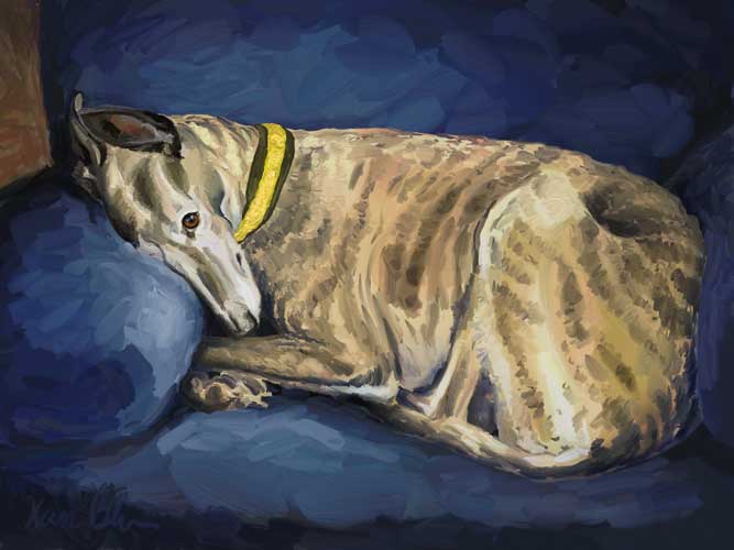 "Belle" by Xan Blackburn. Digital painting. Pet portrait, greyhound, sighthound, hound, dog, dog portrait "Belle" by Xan Blackburn. digital painting
