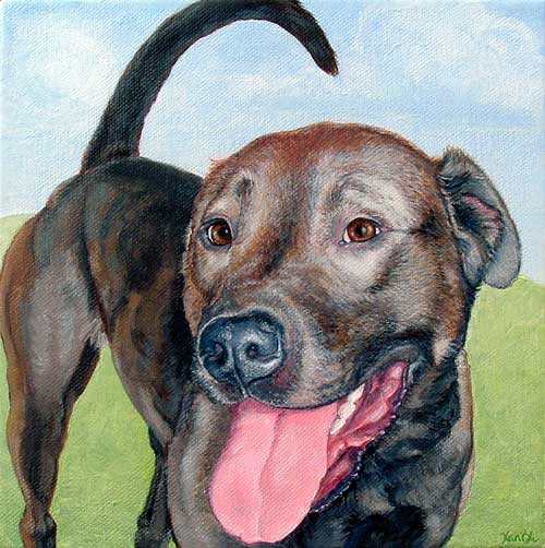 "Brooklyn" by Xan Blackburn. Acrylic on canvas. Pet portrait, mutt, pit mix, dog, dog portrait "Brooklyn" by Xan Blackburn. Gouache on gessoed panel