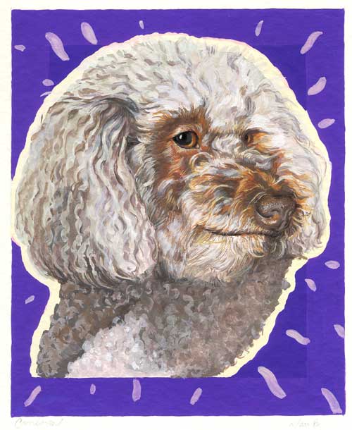 "Cornbread" by Xan Blackburn. Gouache on gessoed panel. Pet portrait, poodle portrait, poodle, dog, dog portrait "Cornbread" by Xan Blackburn. Gouache on gessoed panel