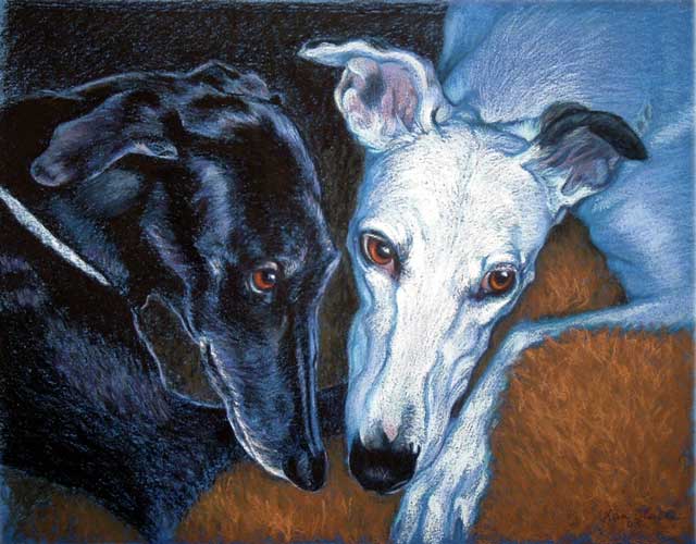 "Doc and Kelso" by Xan Blackburn. Conte crayon on paper, Pet portrait, greyhound portrait, greyhound, sighthound, dog, dog portrait "Doc and Kelso" by Xan Blackburn. Conte crayon on paper