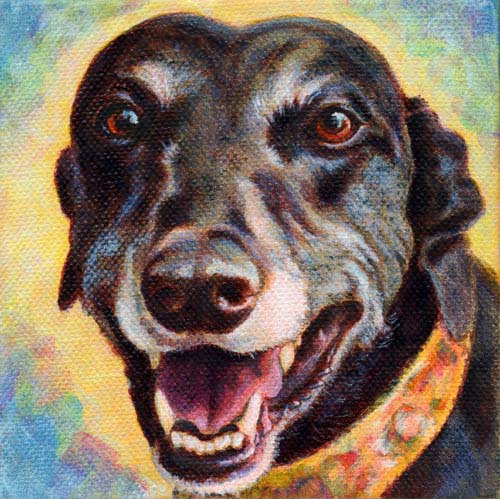 "Hailey" by Xan Blackburn. Acrylic on canvas, Pet portrait, greyhound portrait, greyhound, sighthound, dog, dog portrait "Hailey" by Xan Blackburn. Acrylic on canvas