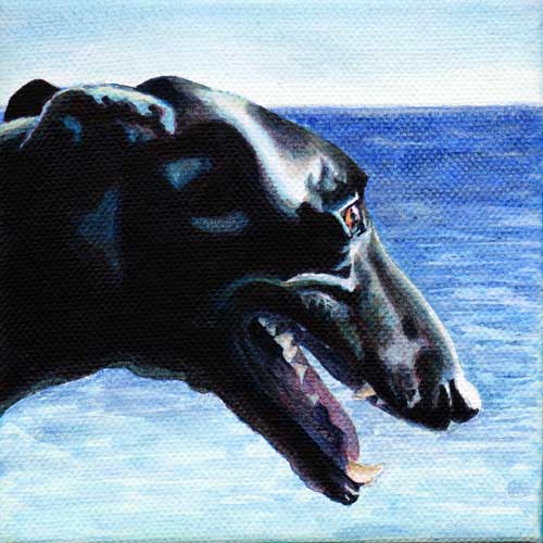 "Harry" by Xan Blackburn. Acrylic on canvas, Pet portrait, greyhound portrait, greyhound, sighthound, dog, dog portrait "Harry" by Xan Blackburn. Acrylic on canvas