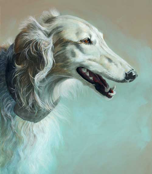 "Hunter" by Xan Blackburn. Mixed media, Pet portrait, silken windhound portrait, silken windhound, sighthound, hound, dog, dog portrait "Hunter" by Xan Blackburn. Mixed media