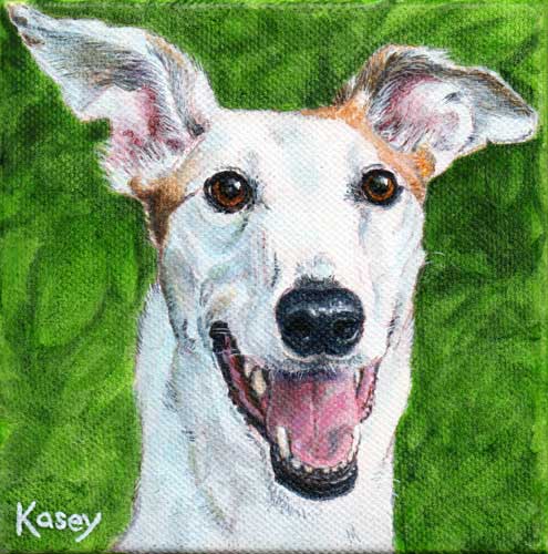 "Kasey" by Xan Blackburn. Acrylic on canvas. Pet portrait, greyhound, hound, dog, dog portrait "Kasey" by Xan Blackburn. Acrylic on canvas