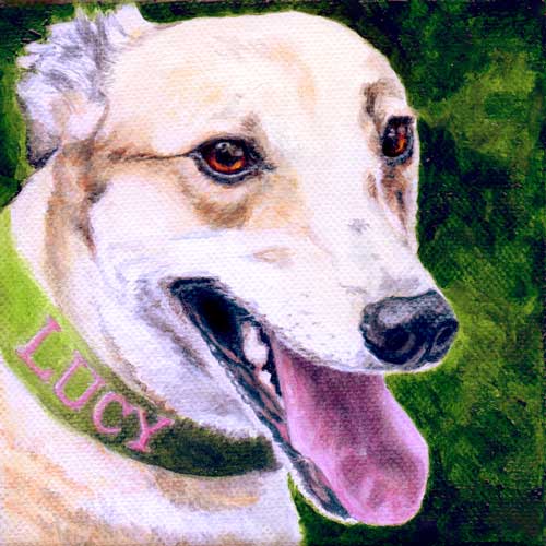 "Lucy" by Xan Blackburn. Acrylic on canvas. Pet portrait, greyhound, hound, dog, dog portrait "Lucy" by Xan Blackburn. Acrylic on canvas
