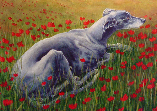 "Mia-detail" by Xan Blackburn. Acrylic on panel. Pet portrait, greyhound, hound, dog, dog portrait "Mia-detail" by Xan Blackburn. Acrylic on panel