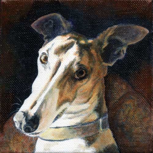 "Miki Too" by Xan Blackburn. Acrylic on canvas. Pet portrait, greyhound, hound, dog, dog portrait "Miki Too" by Xan Blackburn. Acrylic on panel
