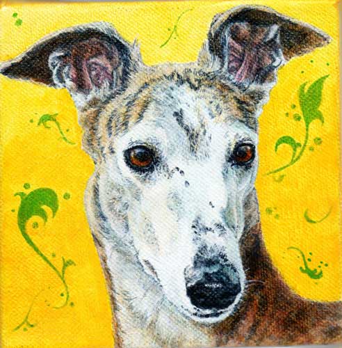 "Nikki" by Xan Blackburn. Acrylic on canvas. Pet portrait, greyhound, hound, greyhound portrait, dog, dog portrait "Nikki" by Xan Blackburn. Acrylic on canvas