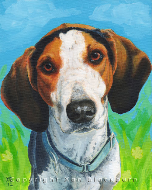 "6Pac" by Xan Blackburn. Acrylic on canvas panel.  Pet portrait, hound, dog, dog portrait