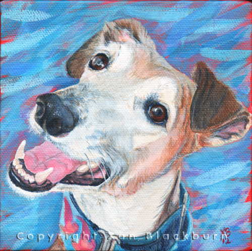 "Ruger" by Xan Blackburn. Acrylic on canvas.  Pet portrait, hound, dog, dog portrait