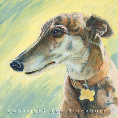 "TipTop" by Xan Blackburn. Acrylic on canvas.  Pet portrait, hound, dog, dog portrait