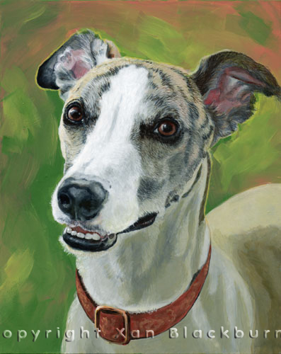 "Wali" by Xan Blackburn. Acrylic on canvas.  Pet portrait, hound, dog, dog portrait