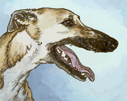 "Paulie" by Xan Blackburn. Digital Pet portrait, greyhound, hound, greyhound portrait, dog, dog portrait "Paulie" by Xan Blackburn. Digital