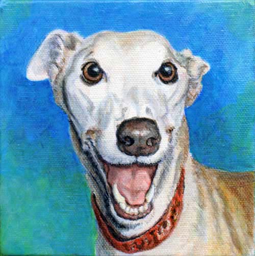 "Sammi" by Xan Blackburn. acrylic on canvas, greyhound portrait, dog, dog portrait "Sammi" by Xan Blackburn. acrylic on canvas