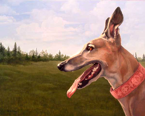 "Sophie" by Xan Blackburn. Acrylic on gessoed panel, greyhound portrait, greyhound, dog, dog portrait "Sophie" by Xan Blackburn. Acrylic on gessoed panel