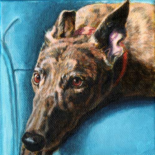 "Tony" by Xan Blackburn. Acrylic on canvas. greyhound portrait, greyhound, dog, dog portrait "Tony" by Xan Blackburn. Acrylic on canvas.